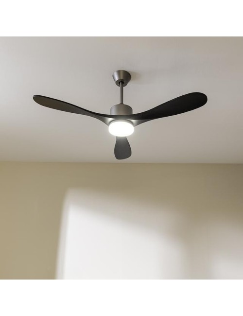 Ventilador de techo...