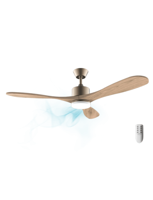 Ventilador de techo...