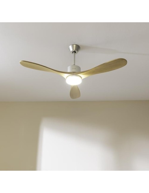 Ventilador de techo...