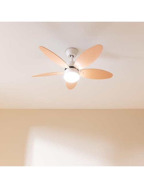 Ventilador de techo...