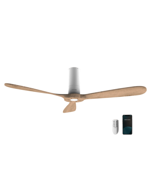 Ventilador de techo...