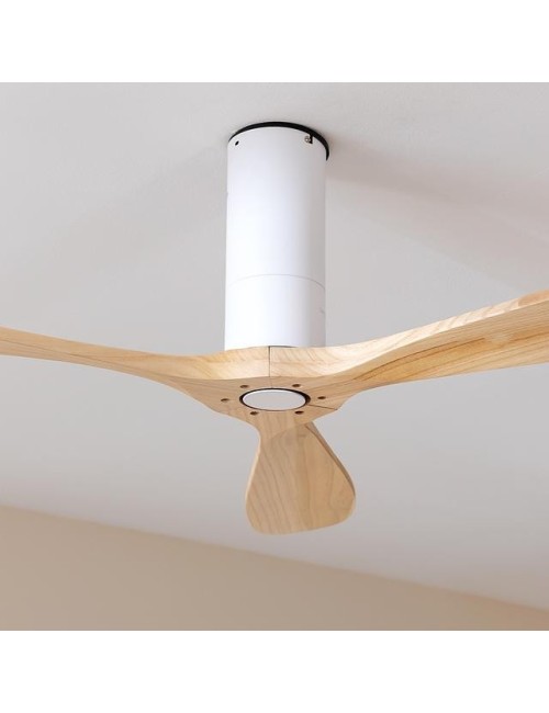 Ventilador de techo...