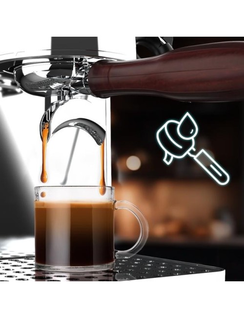 Baristeo Intima