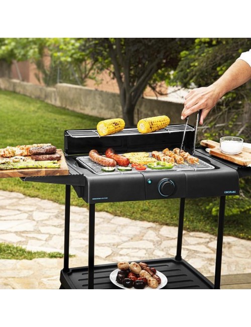 Barbacoa Perfectsteak 4250...