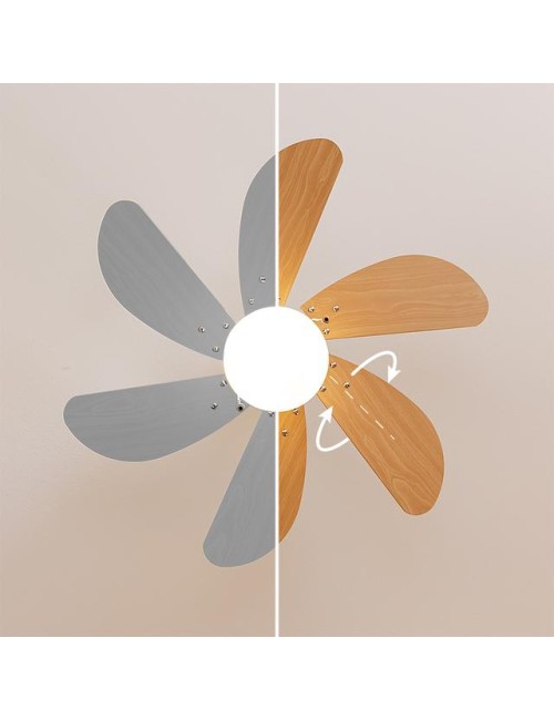 Ventilador de techo...