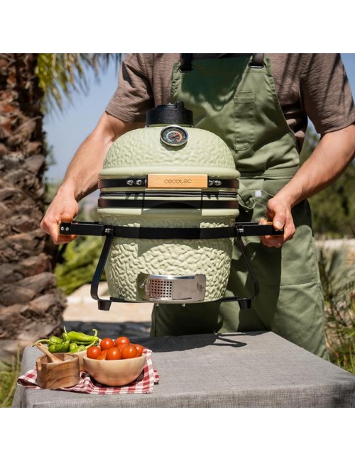 Barbacoa dragonfire 3200