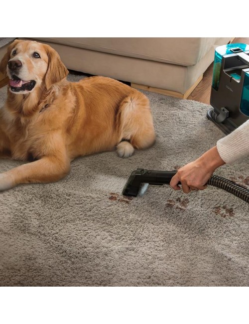 Conga 3000 Carpet&Spot Clean L