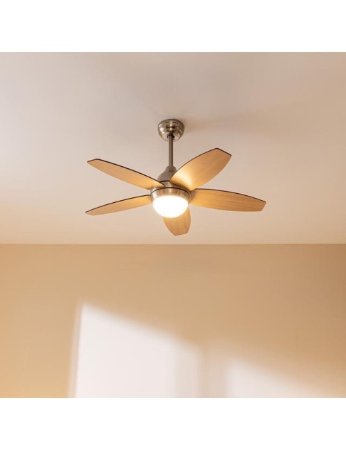Ventilador de techo...
