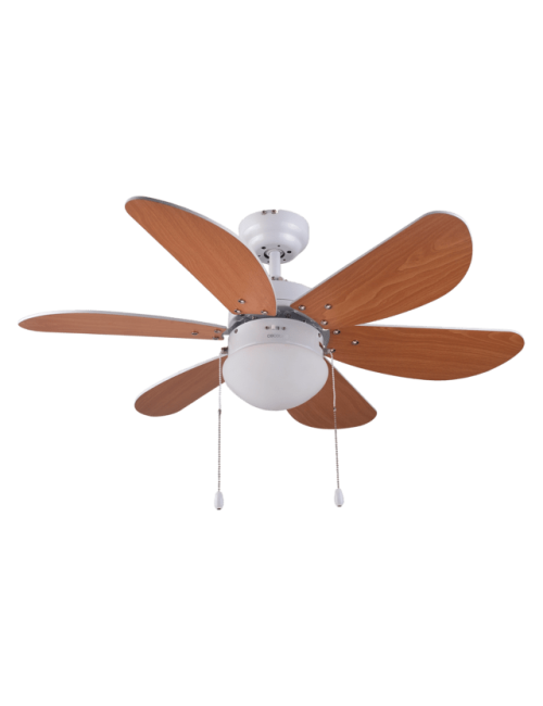 Ventilador de techo...