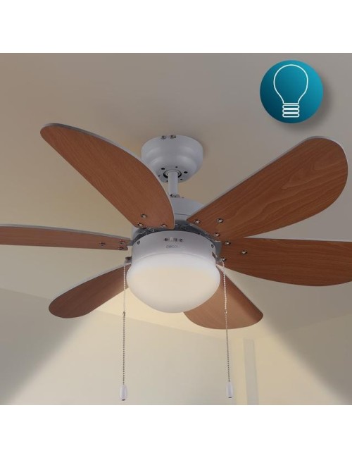 Ventilador de techo...