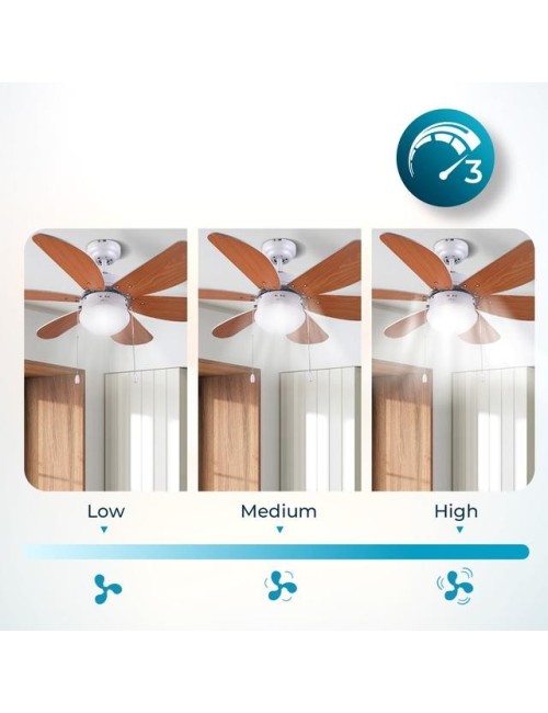 Ventilador de techo...