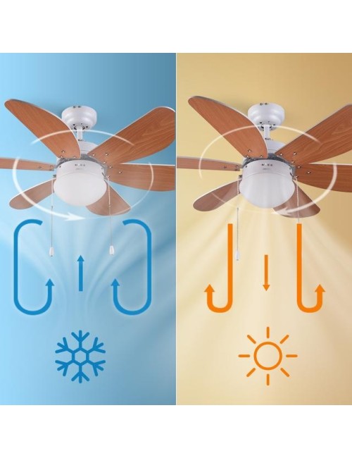 Ventilador de techo...