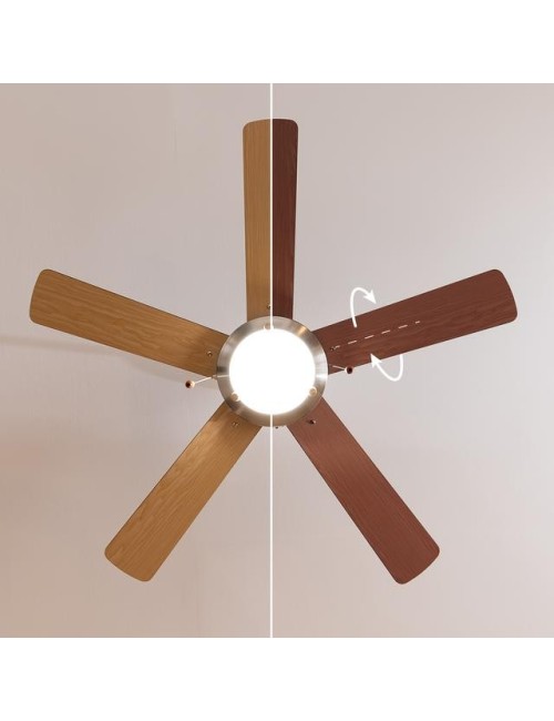 Ventilador de techo...