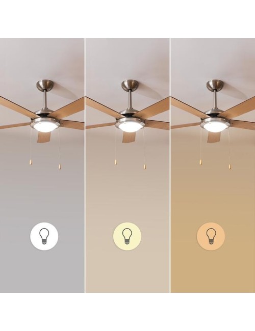 Ventilador de techo...