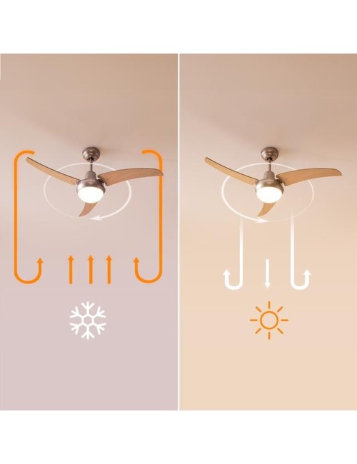 Ventilador de techo...